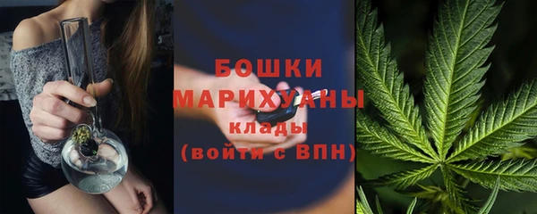 дживик Снежногорск