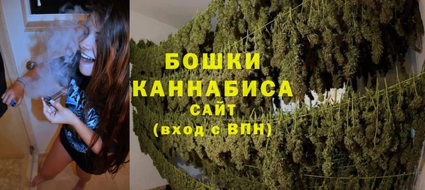 PSILOCYBIN Алзамай