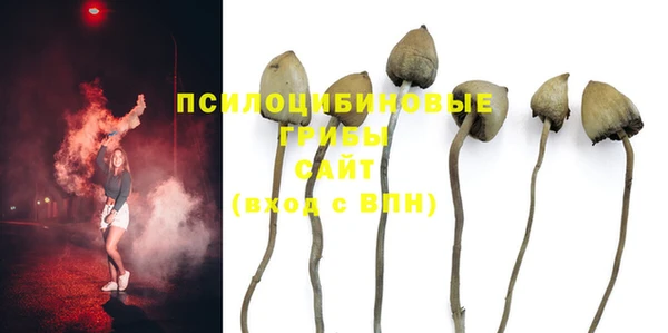 тгк Снежинск