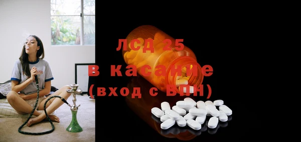 PSILOCYBIN Алзамай