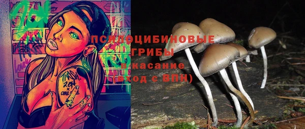 ешки Алексеевка