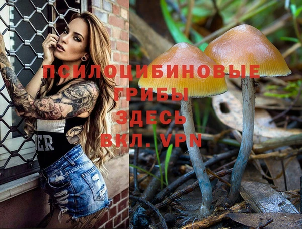 PSILOCYBIN Алзамай