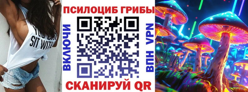 Псилоцибиновые грибы Psilocybine cubensis  Красноуральск 
